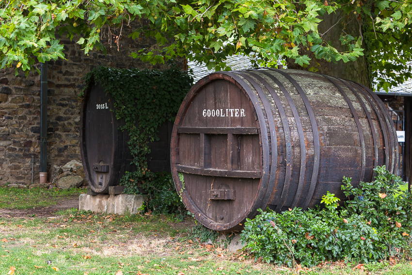 wine barrel