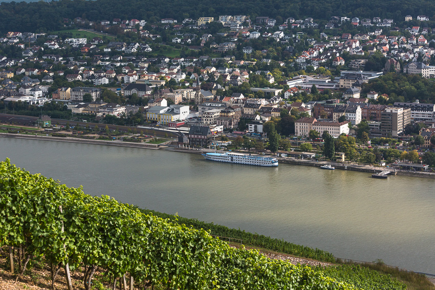 River Rhine near Bingen