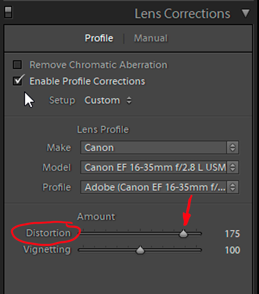 Manual override of the automatic profile correction