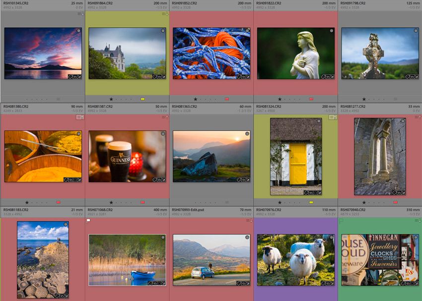 Screenshot of pictures in Lightroom